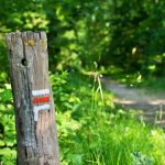 chemin GR39 Saint-Senoux