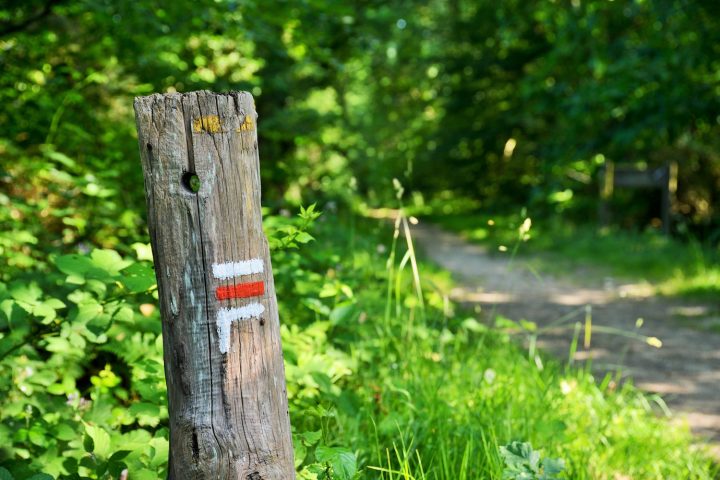 chemin GR39 Saint-Senoux