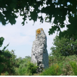 découvrir plechatel